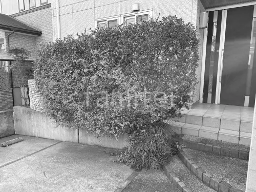 施工前