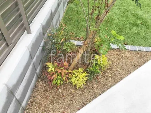 下草 植栽
