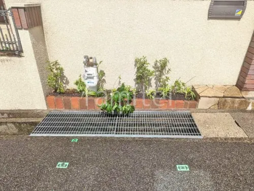 下草 植栽