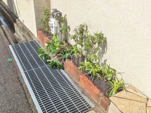 下草 植栽