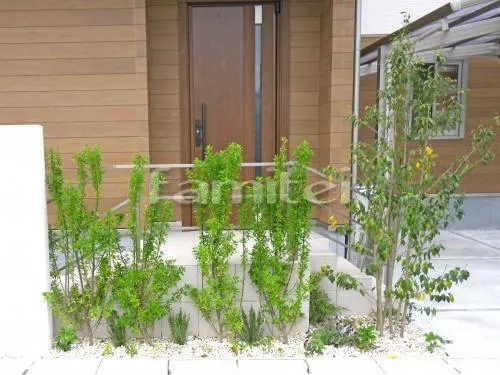 シンボルツリー ジューンベリー 落葉樹 下草 低木 植栽の外構