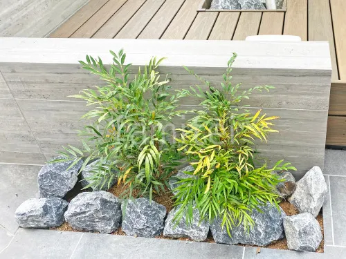 下草 低木 植栽 ゴロタ石の外構施工例(現場番号:38626 下草 低木 植栽 ゴロタ石の外構施工例(現場番号:38626