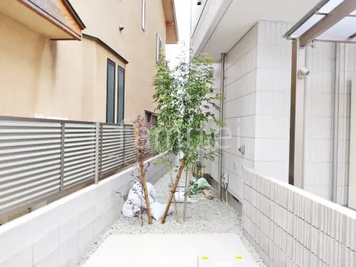 シンボルツリー シマトネリコ トキワマンサク 常緑樹 植栽の外構