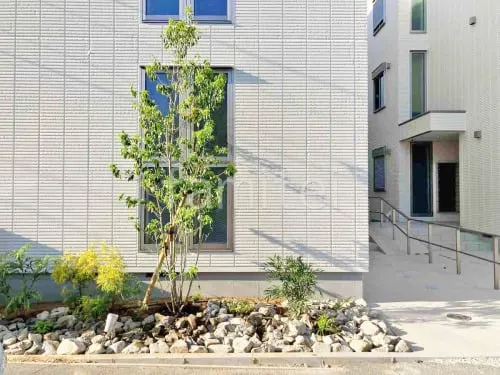 植栽 シンボルツリー ソヨゴ 常緑樹 下草 低木 植栽の外構施工例