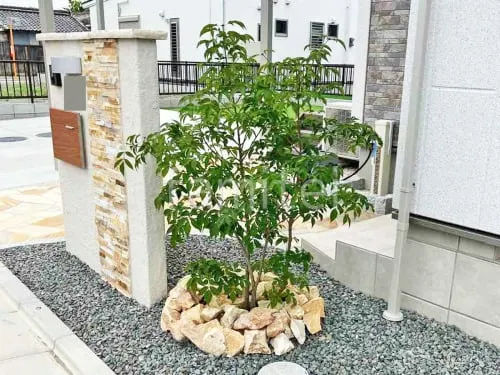 シンボルツリー 落葉樹 アオダモ 植栽 ロックガーデン 東洋工業