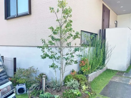 総合福袋 シンボルツリー 落葉樹 植栽の外構施工例（現場番号 アオダモ その他