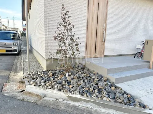 シンボルツリー ヤマボウシ 落葉樹 植栽 ロックガーデン シンボルツリー ヤマボウシ 落葉樹 植栽 ロックガーデン
