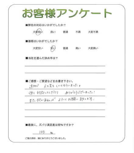 お客様レビュー