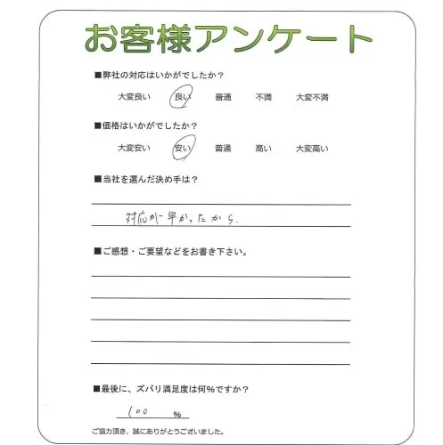 手書きアンケート