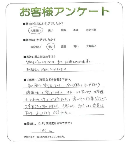 お客様の声