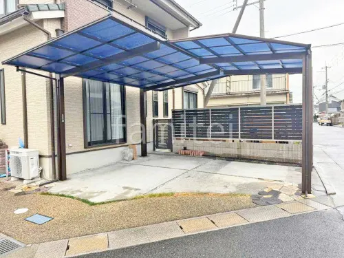 本体色 ブラウン