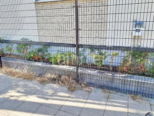 植栽 葉刈り剪定