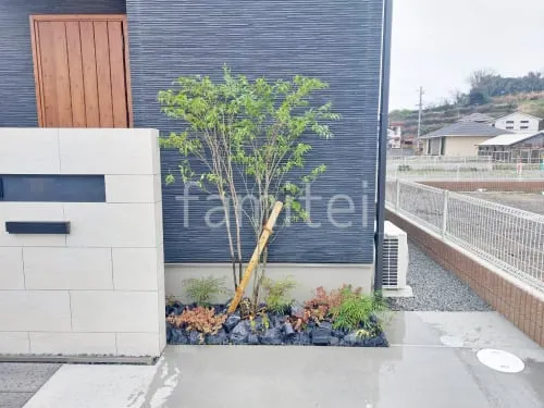 シンボルツリー シマトネリコ 常緑樹 植栽 ロックガーデン 東洋工業 クラッシュロック スモールサイズ