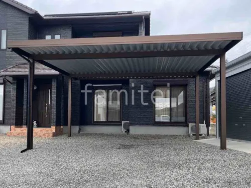 本体色 ブラウン