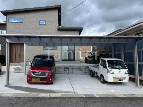 本体色 プラチナステン