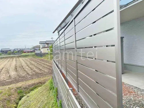 本体色 シャイングレー