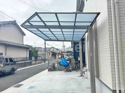 本体色 シャイングレー