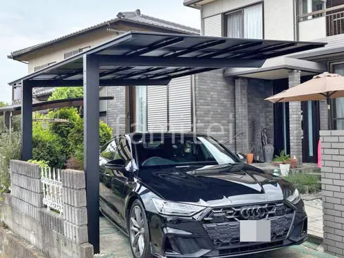 本体色 ブラック