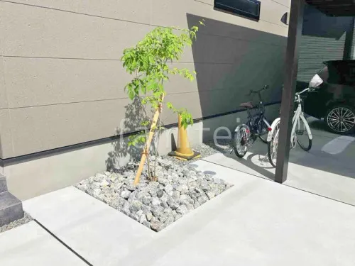 シンボルツリー 落葉樹 マルバアオダモ 植栽 ロックガーデン 割栗石敷き