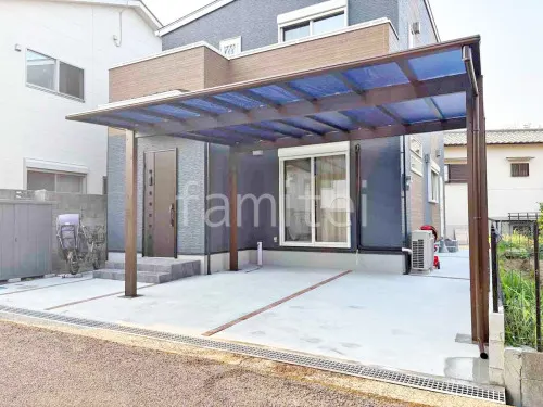 本体色 ブラウン