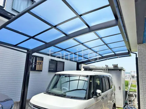 本体色 ブラック