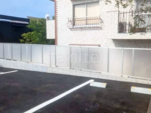 本体色 プラチナステン