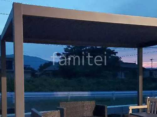 本体色 ブラック