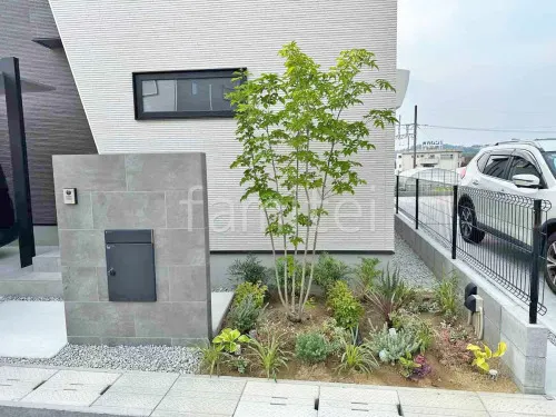 シンボルツリー 落葉樹 アオダモ 植栽