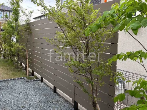 本体色 Mブラウン