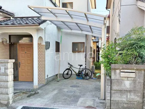 本体色 プラチナステン