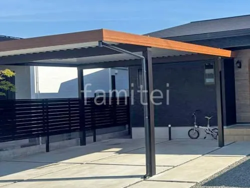 本体色 キャラメルチーク＋カームブラック