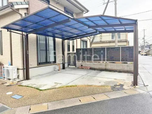 本体色 ブラウン