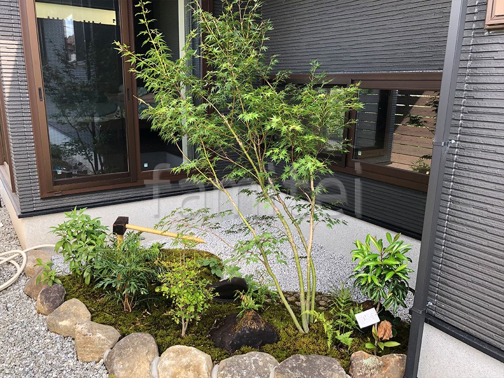 坪庭　施工例　イロハモミジ　化粧砂利　苔