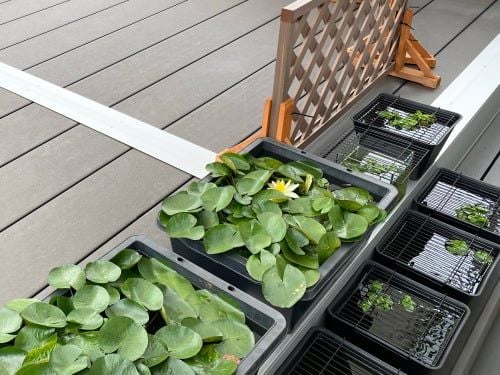 趣味を楽しむ空間として 趣味をたのしむ空間として