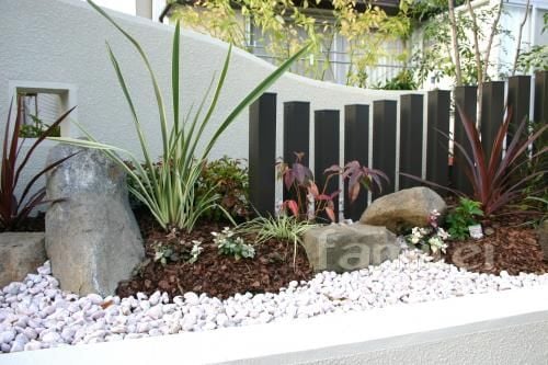 おしゃれ植栽 ベニドラ：お庭,坪庭,花壇にも