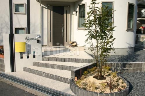 シンボルツリー：シマトネリコ