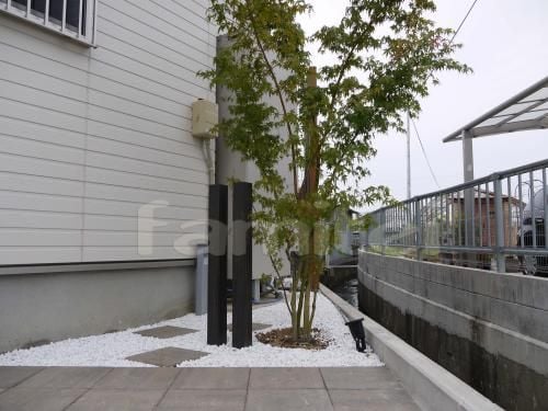 シンボルツリー 紅葉