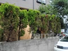 生垣・目隠しフェンスリフォーム施工例