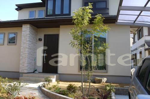 シンボルツリー　シマトネリコ