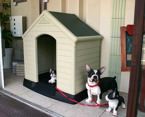 ケター犬小屋　兵庫店にて展示中！