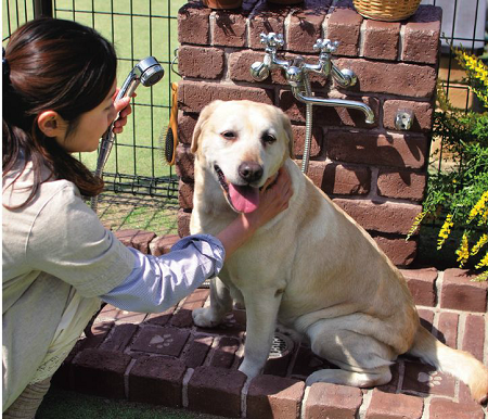 ペット立水栓　シャワープレイス　スクエアタイプ　nikko
