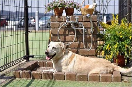 ペット立水栓　シャワープレイス　スクエアタイプ　トランスブラウン色　nikko