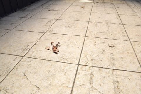 タイルデッキ　落ち葉　泥汚れ