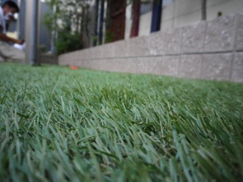 ふさふさの人工芝　とってもリアル