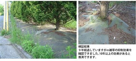 ファミリー庭園オリジナル　防草シート威力