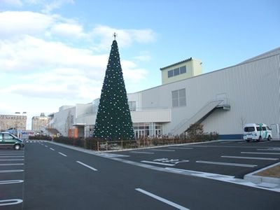 クリスマスツリー