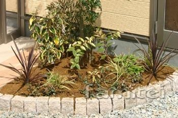 おすすめ下草　植え方バランス