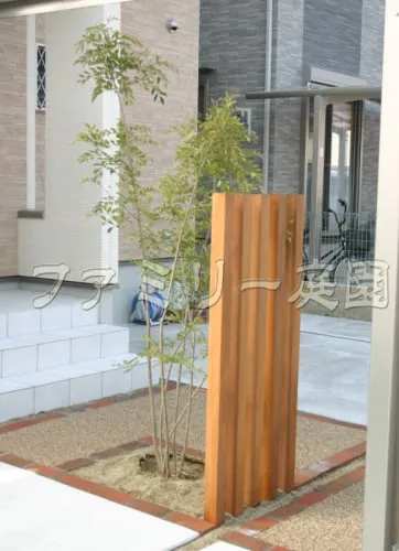 シンボルツリー:シマトネリコ　角柱